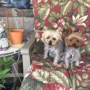 Meet your Posher, Roxanne